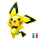 Pichu Shiny Spring 2010